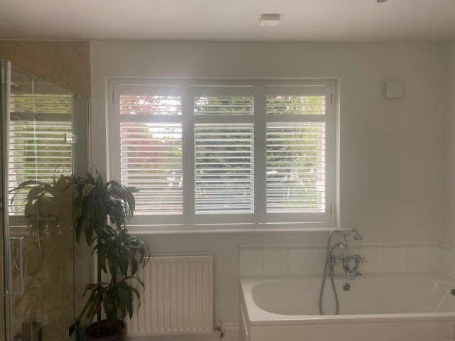 Crown Shutters (463)